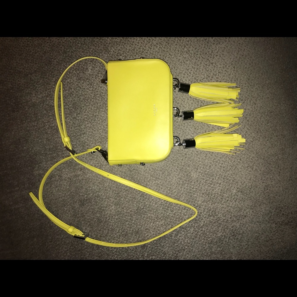 Luana lemon lime tassel leather crossbody purse
